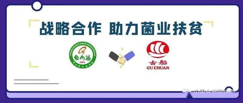 攜手古船米業(yè)，共筑貧困地區(qū)食用菌銷(xiāo)售與商品房代購(gòu)代銷(xiāo)新篇章